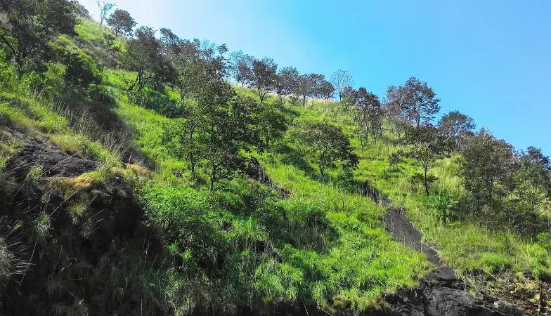 vagamon tour packages